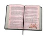 Imagem 4